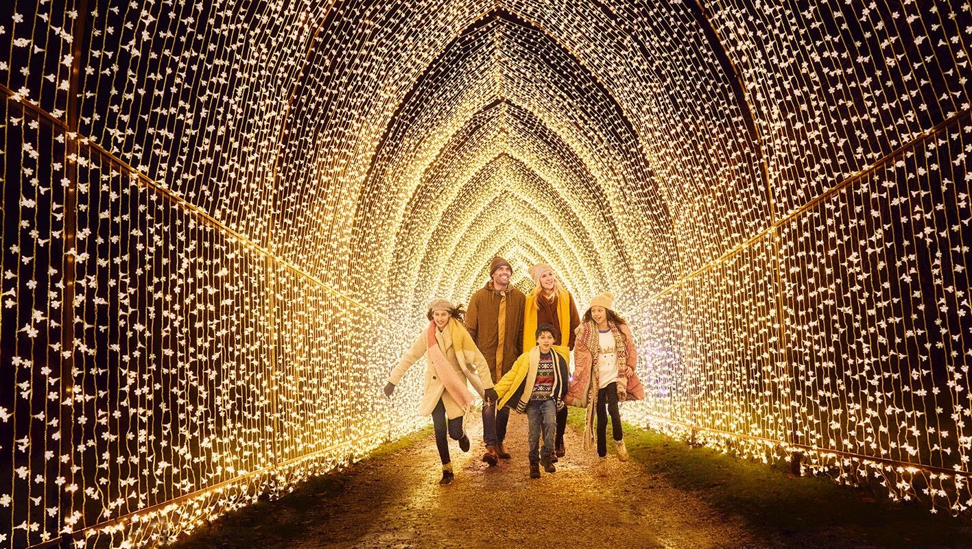 Lightscape LA Arboretum