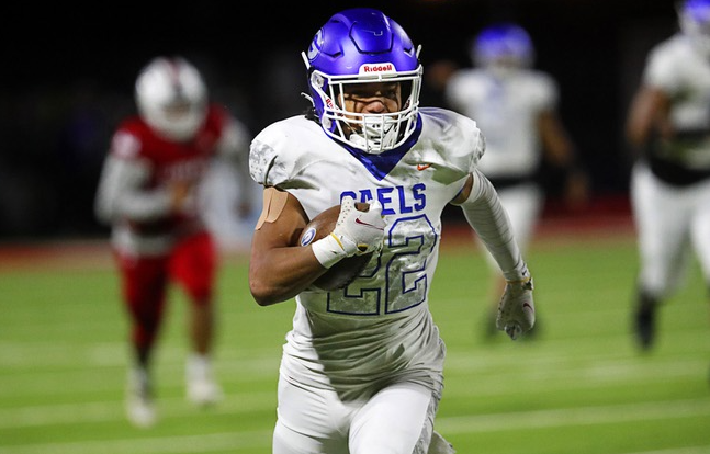 Gorman football scores on initial 3 plays, cruises to state title