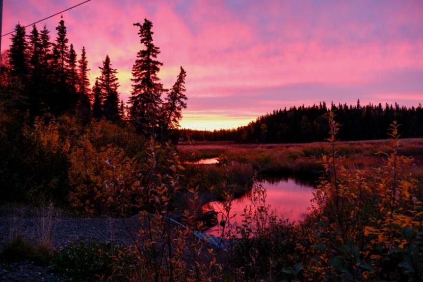 Three Alaska Native languages are used to express gratitude