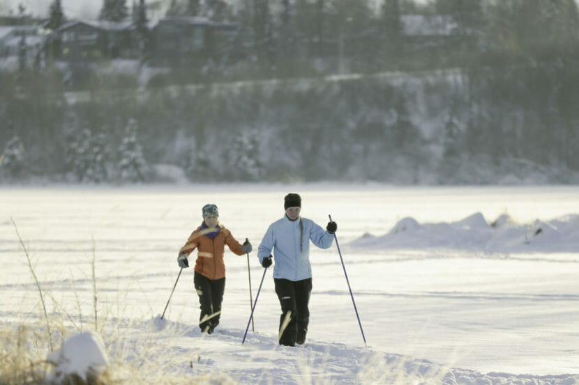 A pair of skiers with a neighborhood in the background.