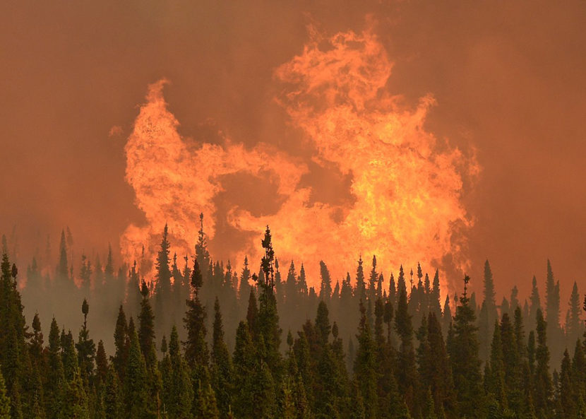Study finds that Alaska doesn't have enough money for wildfire response