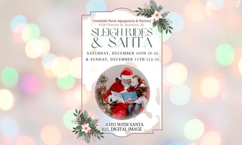 Santa Claus and Sleigh Rides in Anniston