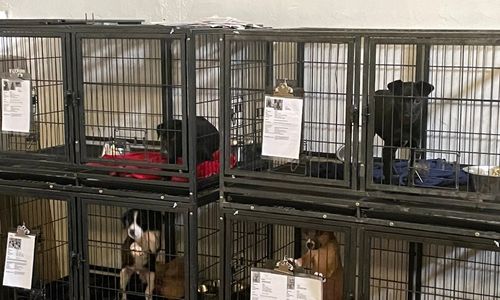 County Commissioner Enjoys His Pet Project
