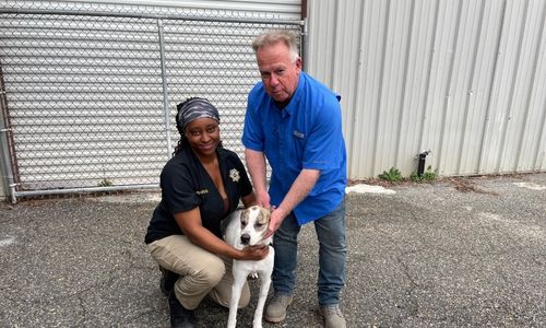County Commissioner Enjoys His Pet Project