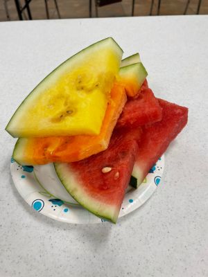 Watermelon Production Meeting