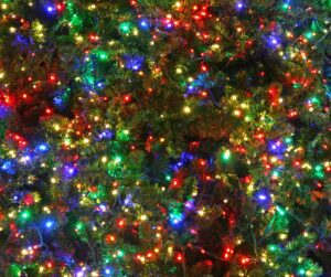Christmas Tree Lighting