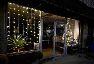 1st Annual Salon Christmas Celebration