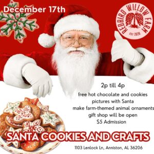Santa, Cookies, & Crafts
